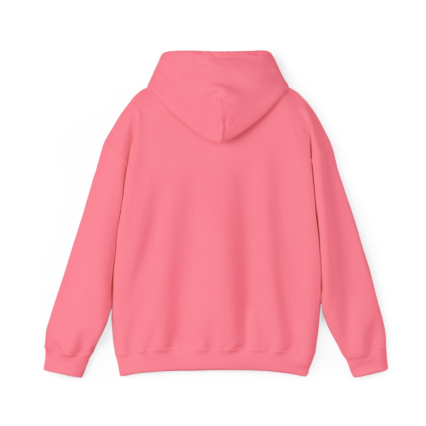 GB23 Hoodie