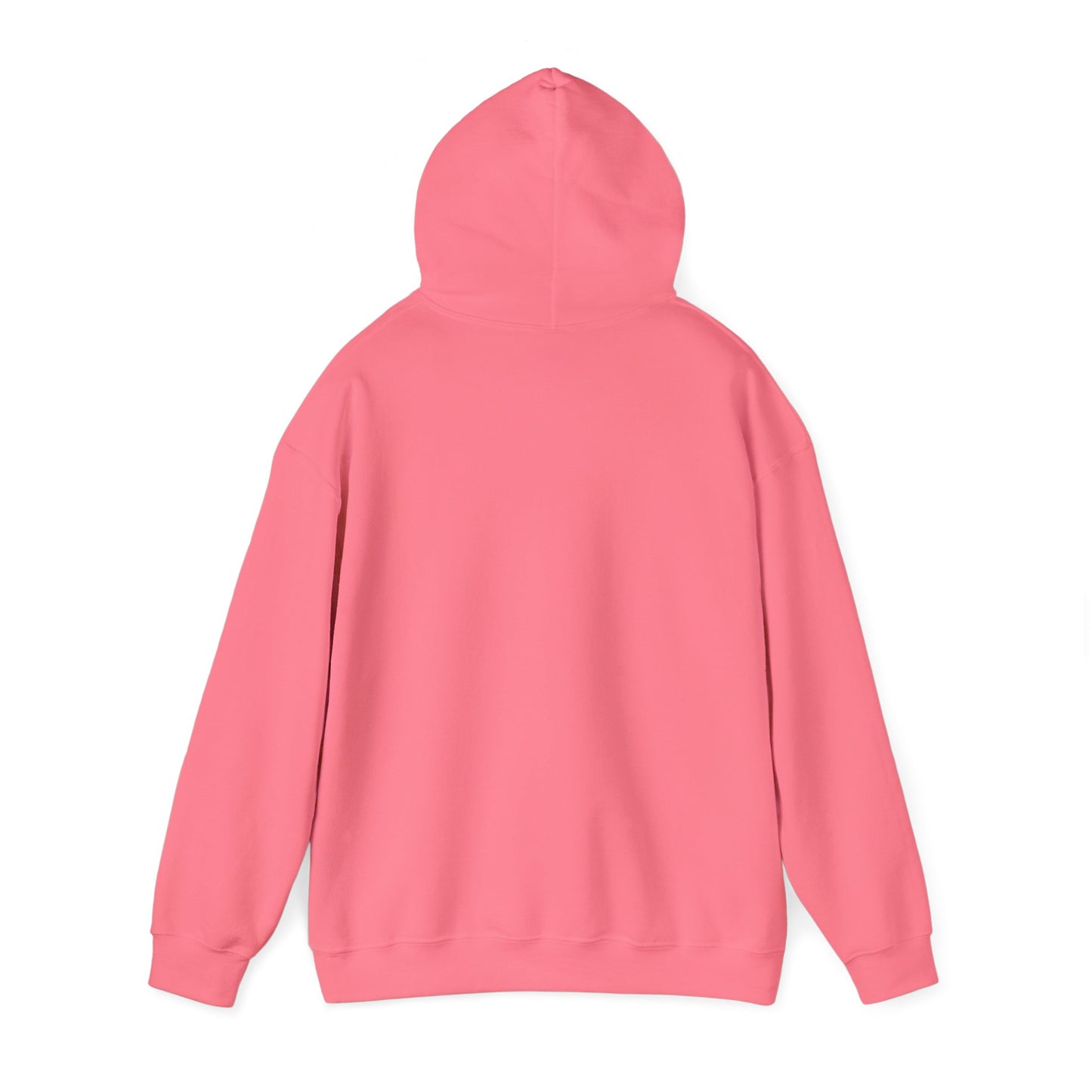 GB23 Hoodie